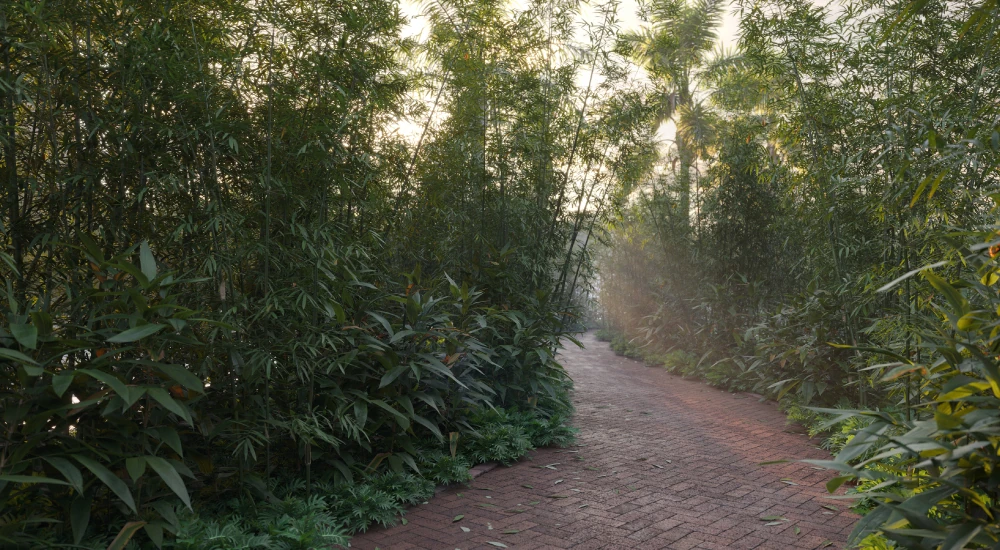 Bamboo Bower Amenity